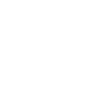 Clinton Strong-Insurance-Icon-Motorcycle-Insurance_3